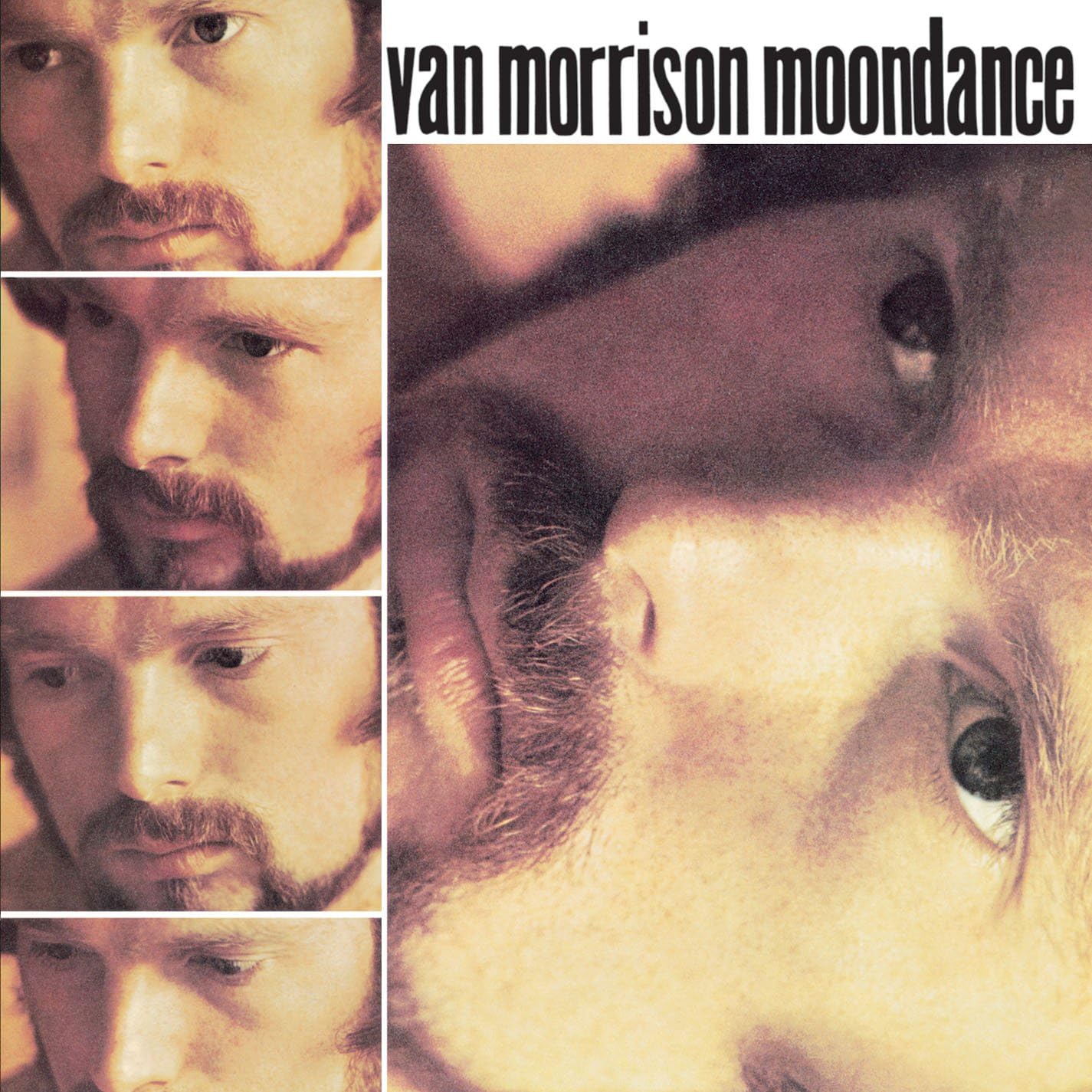 Detalle de ヴァン・モリソン Moondance -Remast- アルバム、1969年録音の代表作