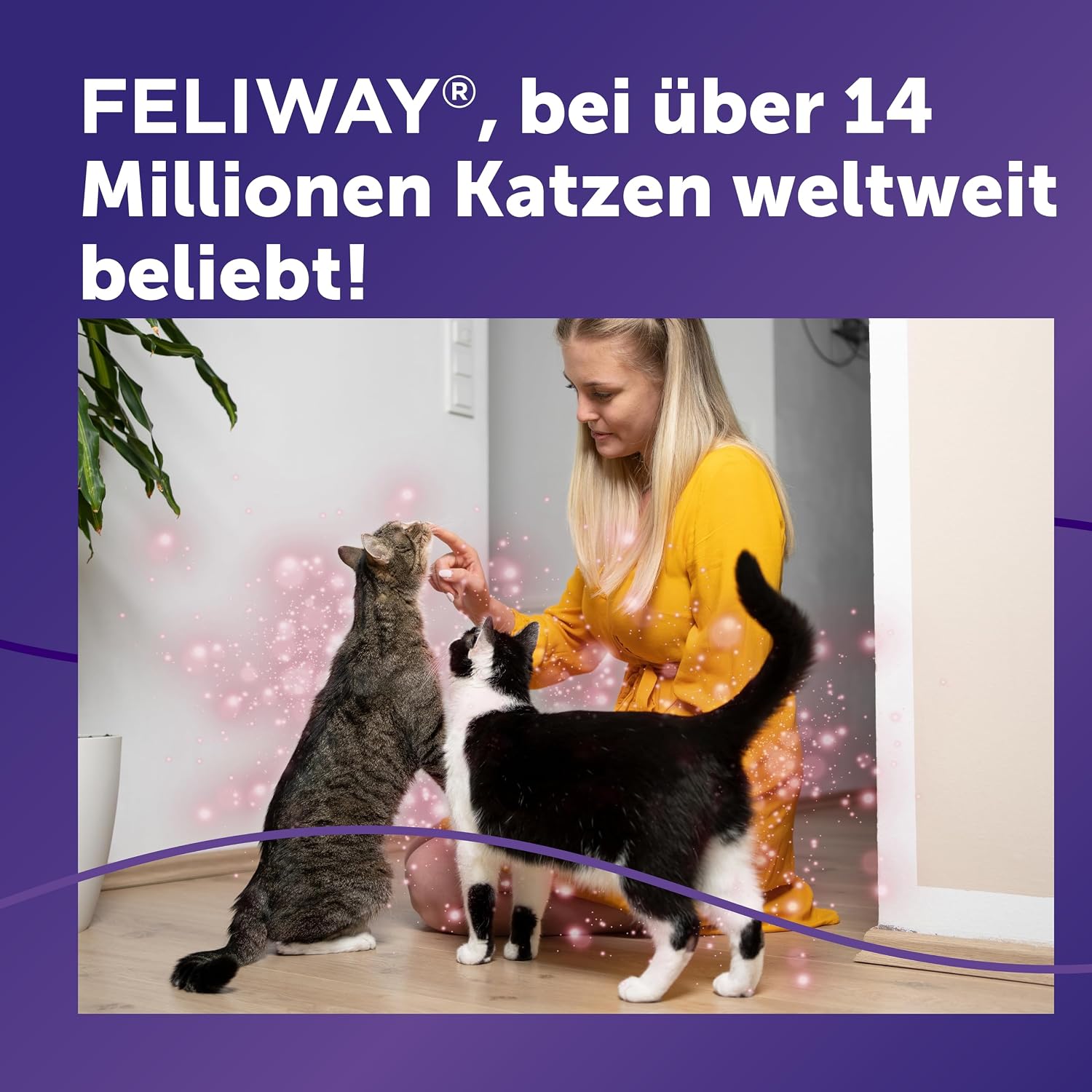 Thumbnail 5 de FELIWAY Friends 30 Tage Pheromon Verdampfer Start-Set, 48 ml – Beruhigt Katzen und Kitten im Mehrkatzenhaushalt