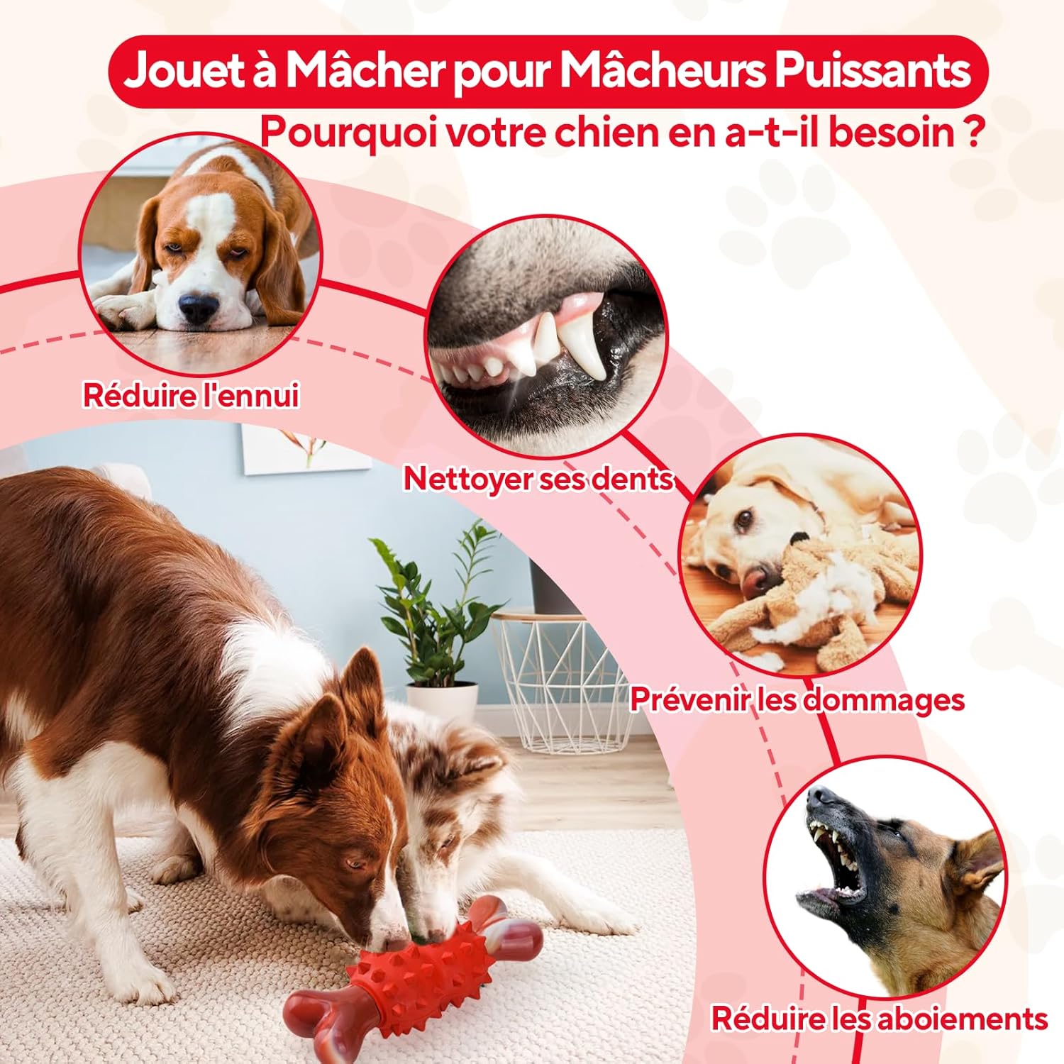 Thumbnail 4 de LIFLIX jouets à mâcher indestructibles en nylon et caoutchouc (forme d’os) pour chiens