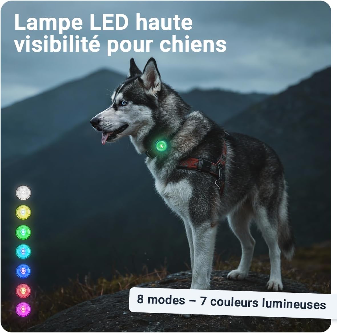 Thumbnail 1 de PAJ Light Mini : collier LED miniature étanche pour chiens et chats