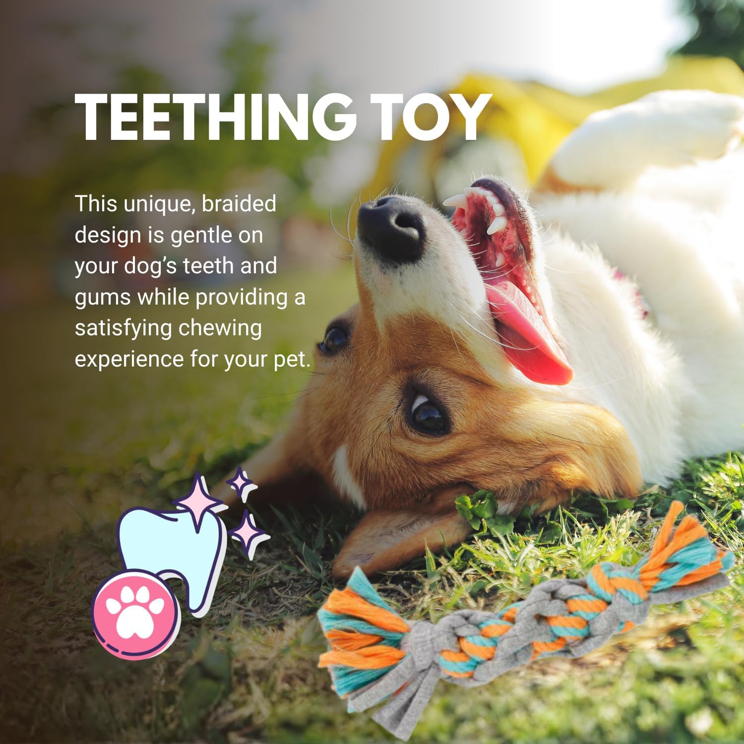 Detalle de Consumable Corner Braided Dog Rope Toy