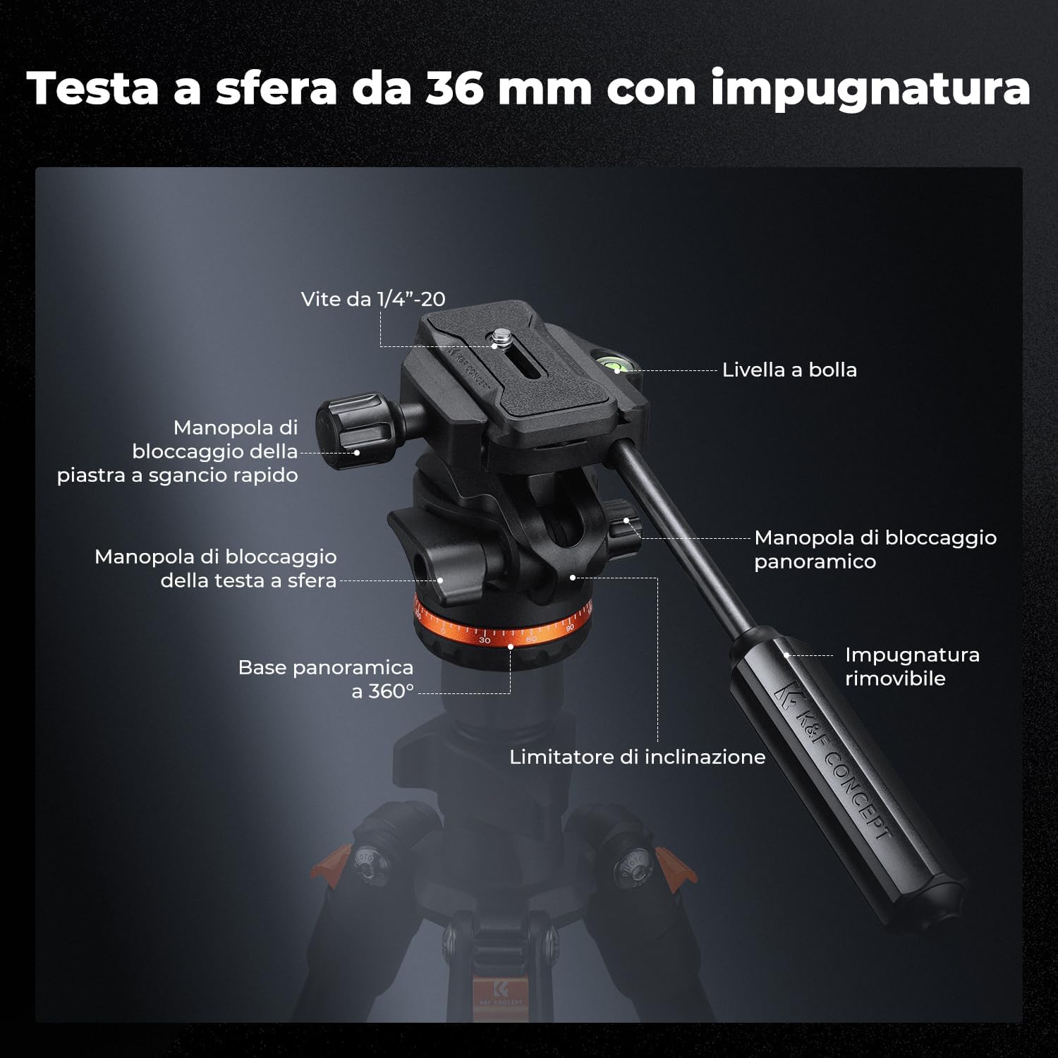Thumbnail 2 de K&F CONCEPT Testa panoramica da 36 mm per treppiede – 8 kg, attacco Arca Swiss e rotazione a 360°