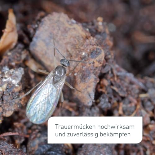Detalle de Plantura Trauermückenfrei Neem, Gießmittel mit Azadirachtin, 75 ml