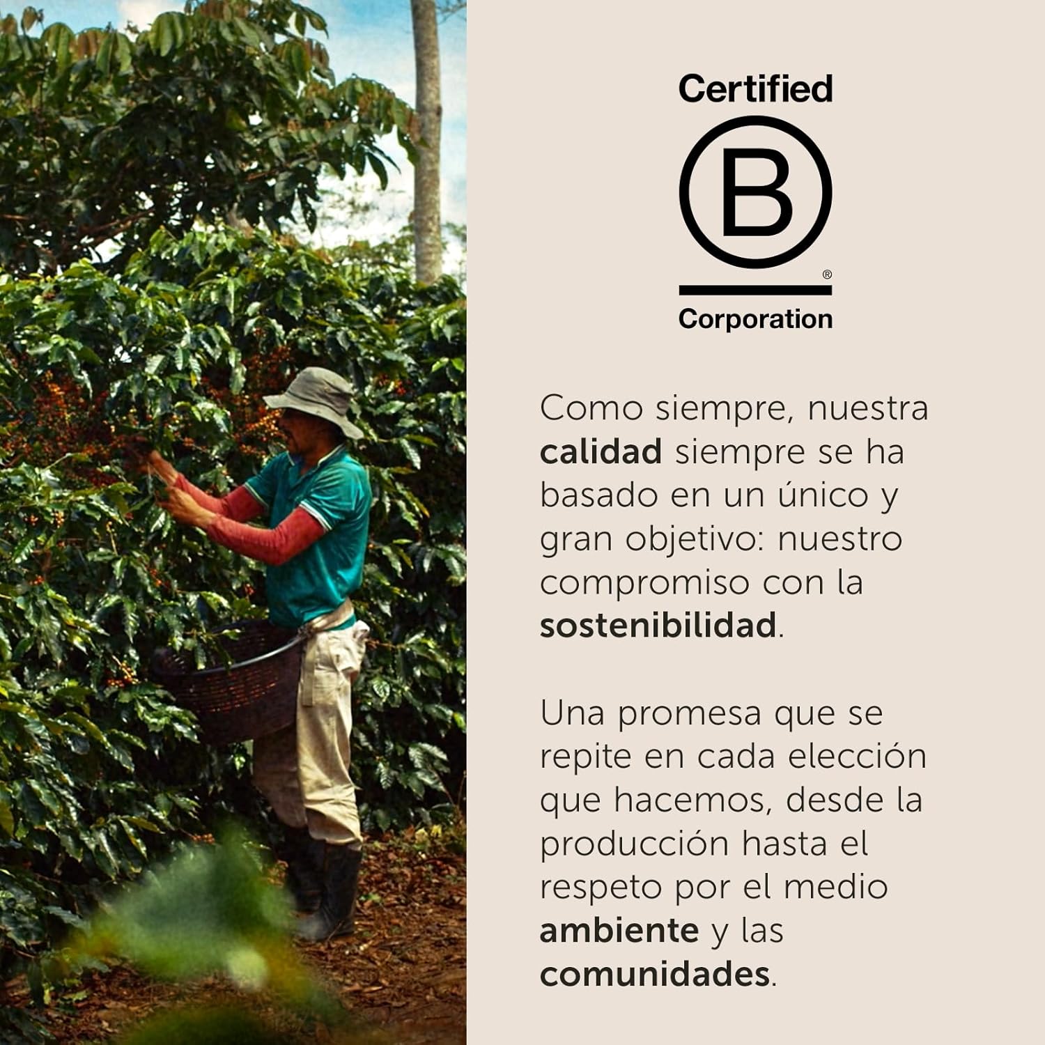 Thumbnail 4 de illy INTENSO Cápsulas Aluminio Compatibles 100 cápsulas ☕