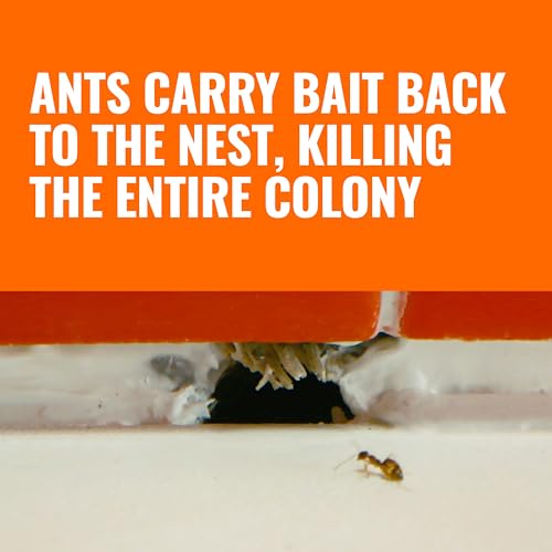 Detalle de Terro Ant Killer Bait Stations T300B — Liquid Ant Bait for Indoor Control (12 Count)
