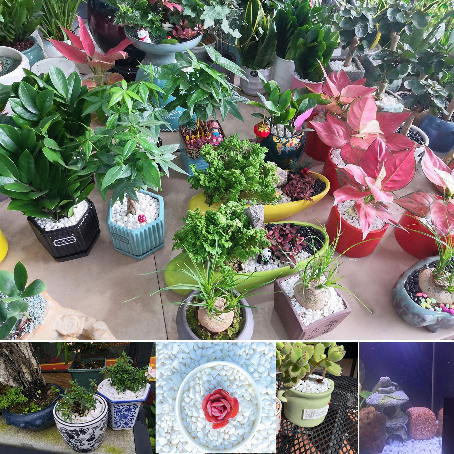 Thumbnail 3 de Hisredsun White Decorative Stones (3.96 lb) Natural Gravel for Pots, Succulents & Aquariums