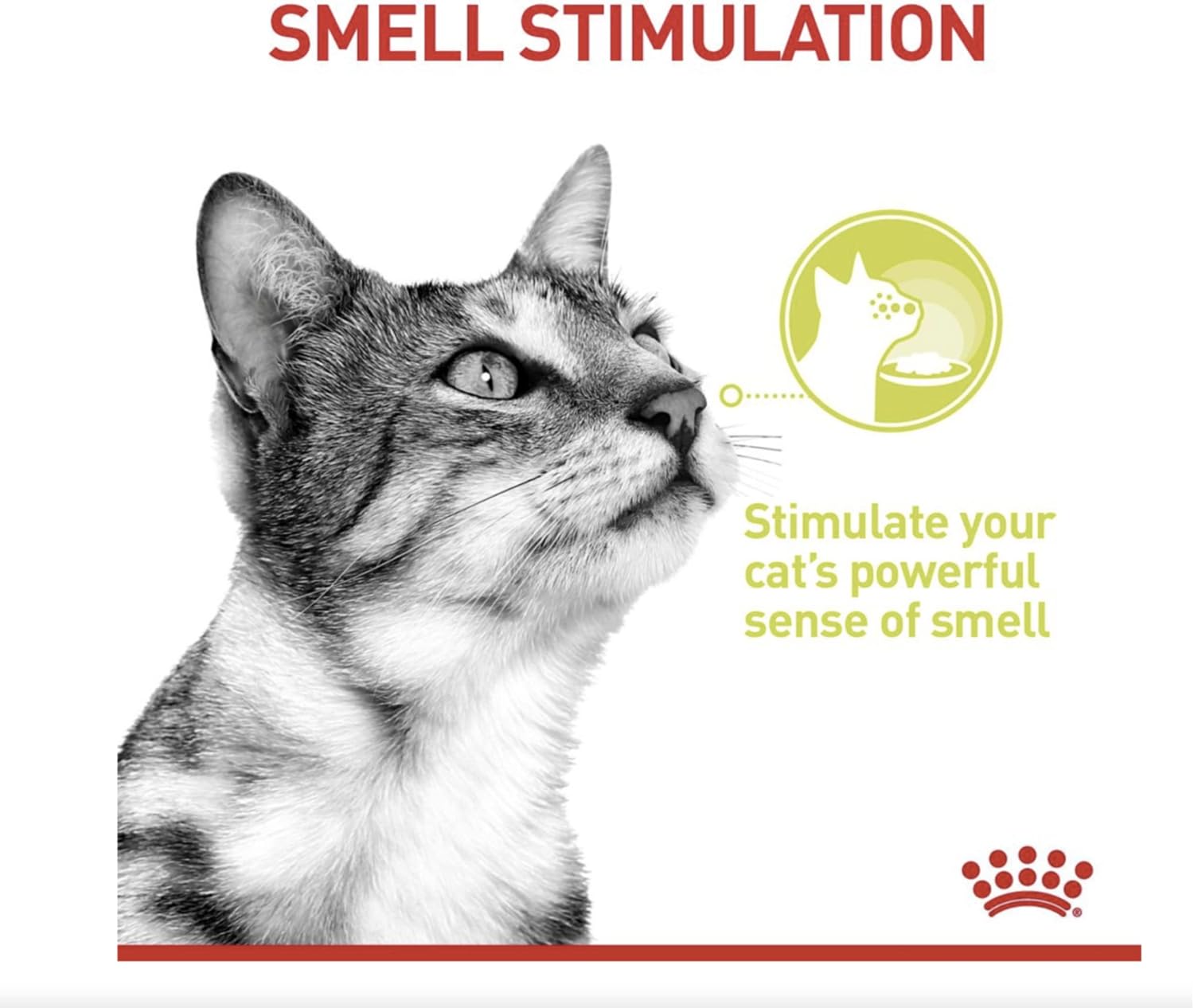 Detalle de ROYAL CANIN Sensory Smell Nassfutter Katzen – Chunks in Sauce, 12×85 g