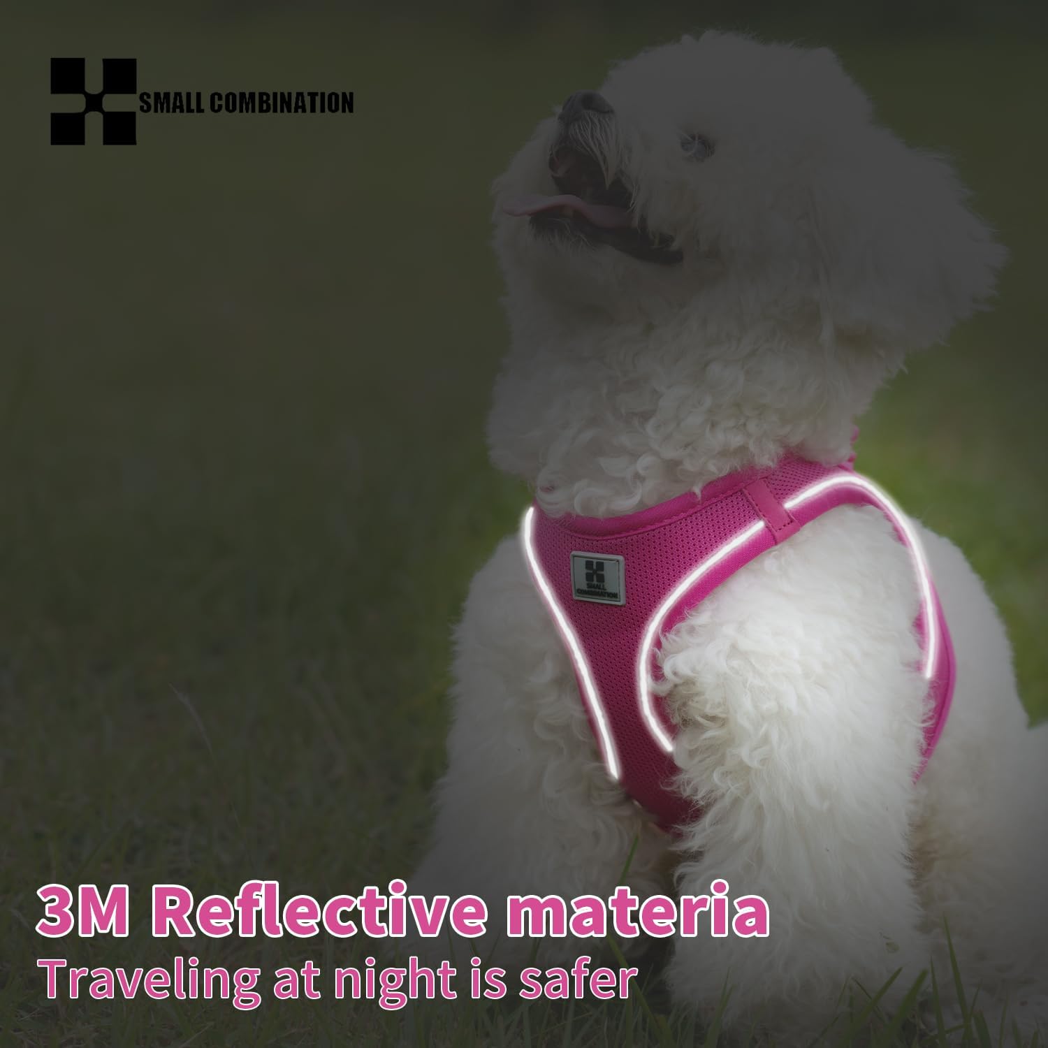 Detalle de Small Combination Dog Harness Leash Set for Small to Medium Dogs (Rose Red, XXS) by SMALL COMBINATION