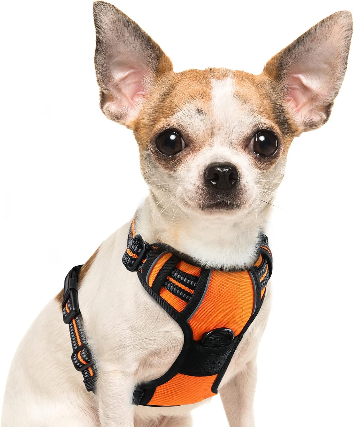 Detalle de Eagloo Small Dog Harness with Front-Clip No-Pull Design (Orange, Size S)