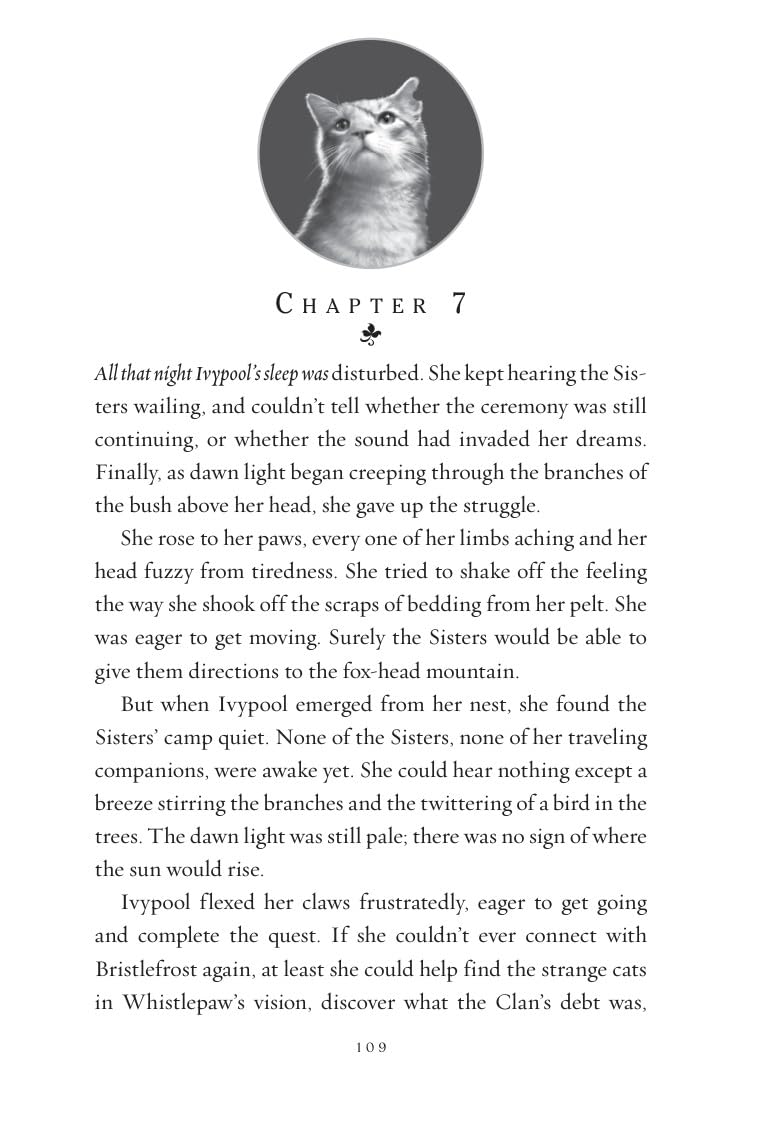 Detalle 2 de HarperCollins Warriors Super Edition: Ivypool's Heart: 17 – kinderboek van 400 pagina's