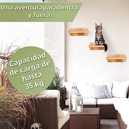 Detalle 2 de WOOWOOD Mur dâescalade pour chat XL, 3 escaliers đ