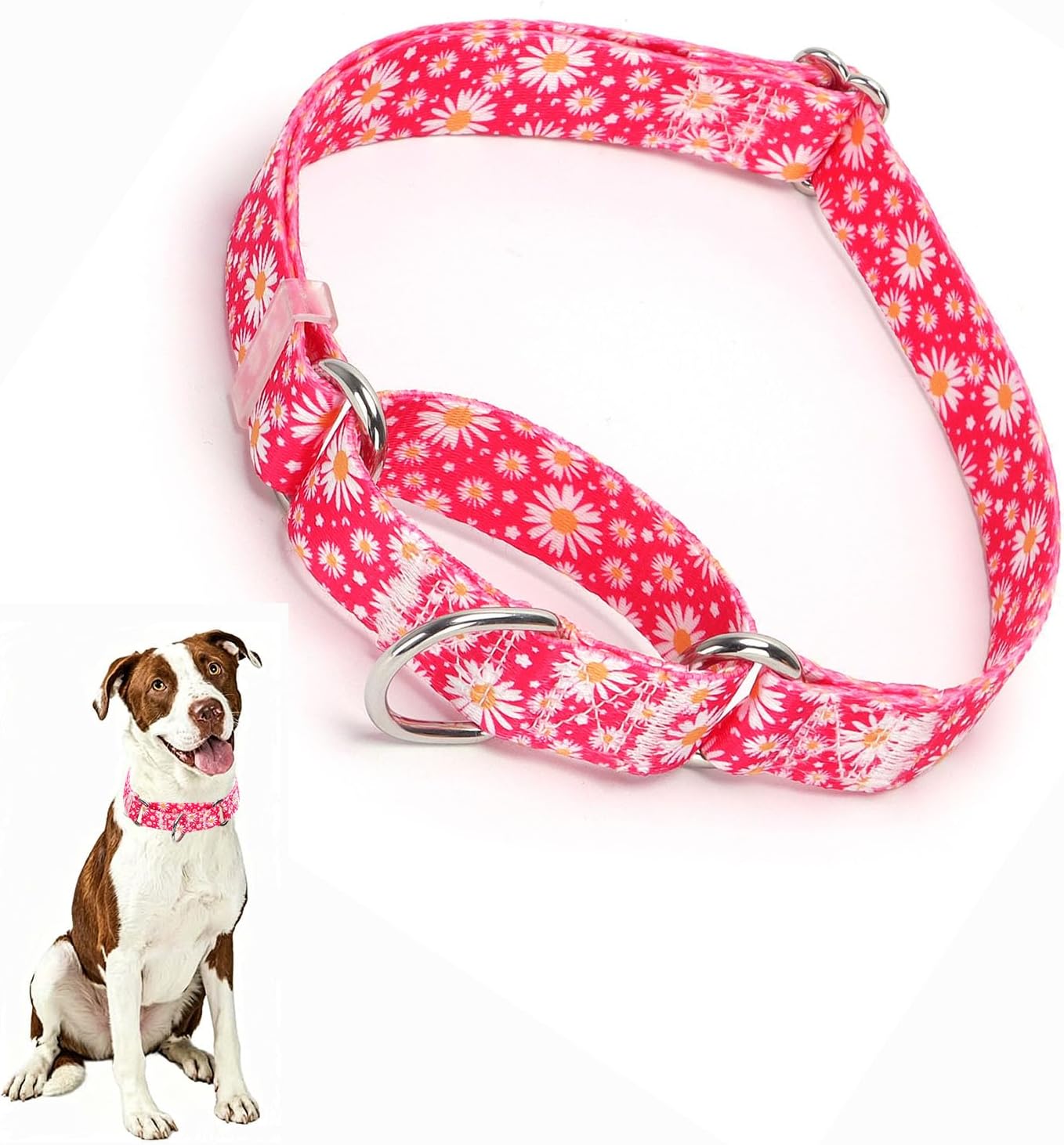 Detalle 2 de Martingale Dog Collar, Nylon