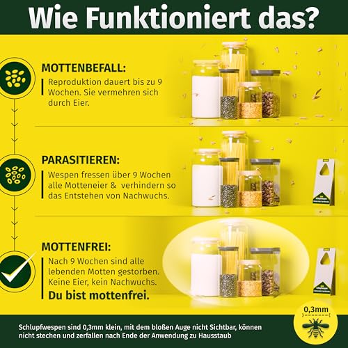 Thumbnail 2 de Ridix Schlupfwespen gegen Lebensmittelmotten – Biologische Lösung ohne Chemie (1 Lieferung mit 5 Karten)