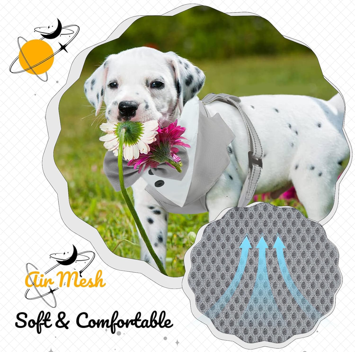 Detalle de OUOBOB Tuxedo Dog Harness: Formal Bow Tie Vest with No-Pull Leash for Small to Medium Dogs