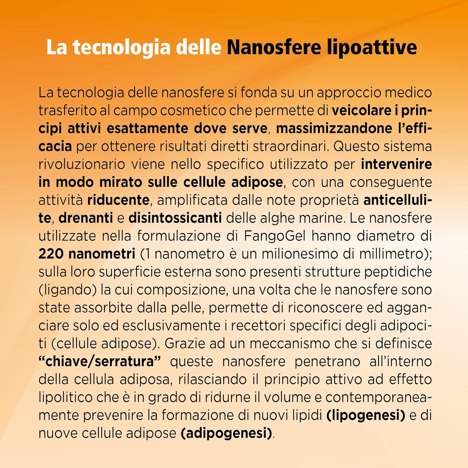 Thumbnail 6 de Guam FangoGel Contro la Cellulite – Gel senza risciacquo con Nanosfere Lipotive