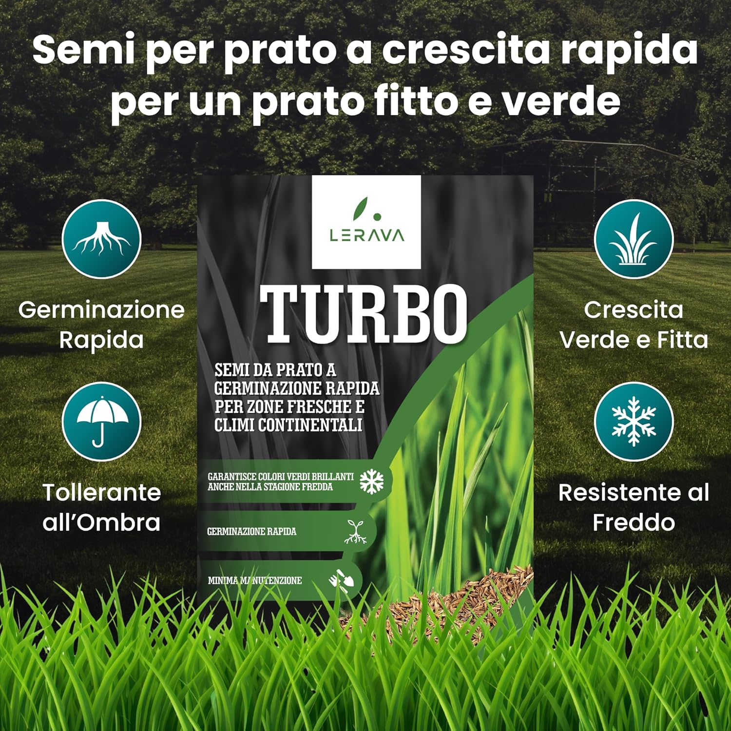 Thumbnail 1 de LERAVA TURBO Semi Loietto Perenne (30 m²) - Prato resistente e rapido, verde brillante