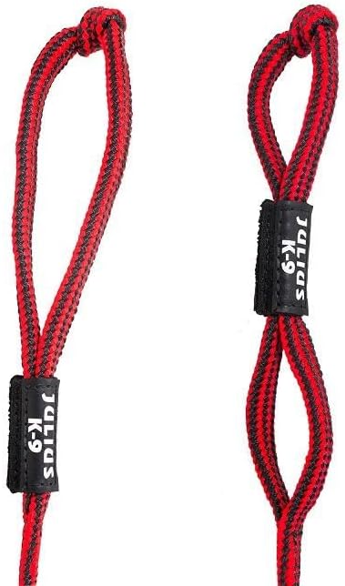 Detalle 2 de Julius-K9 242-BLL-60 Palla fluorescente