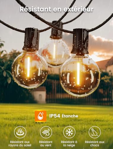Detalle 2 de Guirlande Lumineuse Guinguette Extérieur 8M - G40 12+1 LED IP54, Torkase