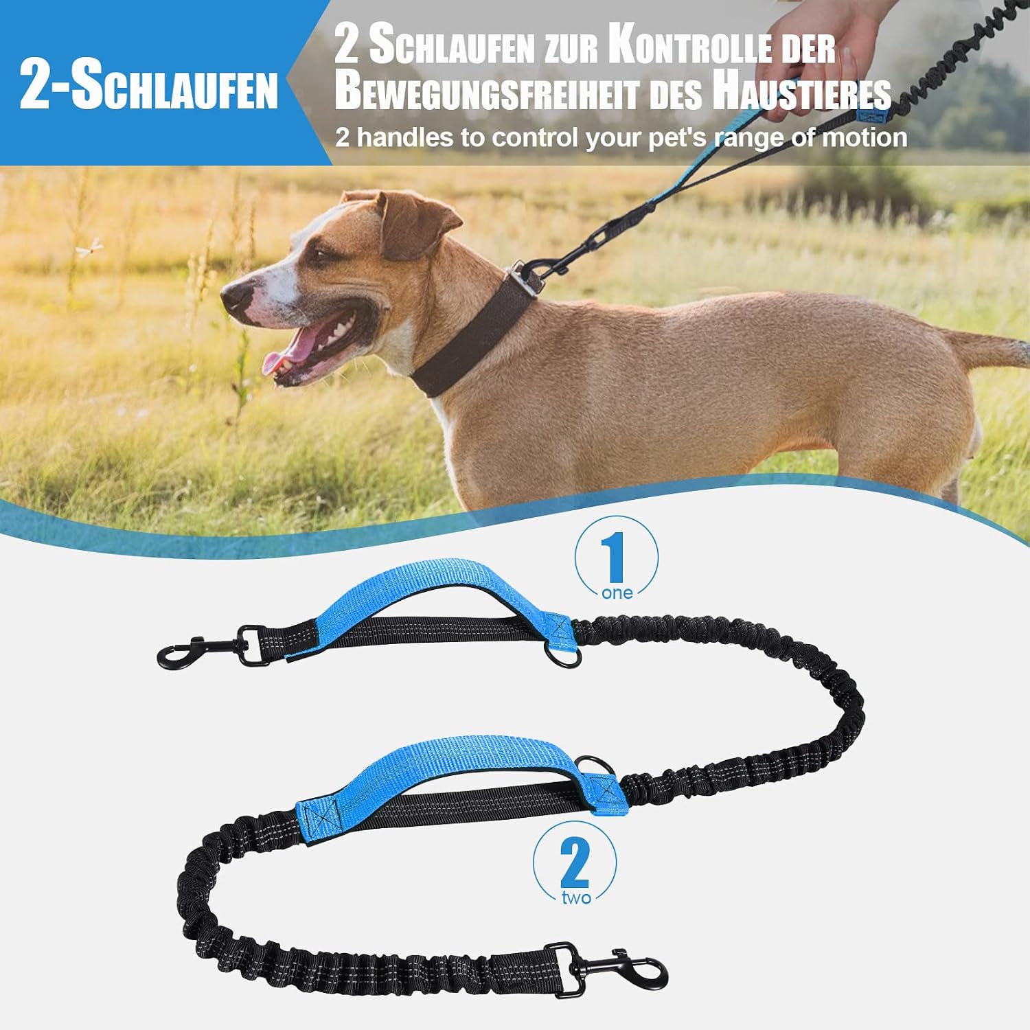 Detalle 2 de Snocyo Jogging-Hundeleine – elastische 2-in-1 Leine mit Gürtel & Doppelgriff (bis 50 kg)