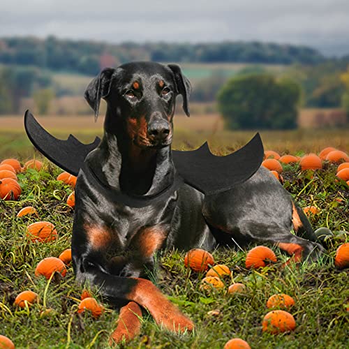 Thumbnail 5 de RANYPET Dog Bat Wings XL dog costume ðŸŽ