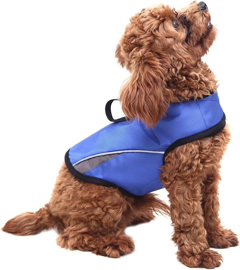 Detalle 2 de Winbate Dog Anxiety Vest XS