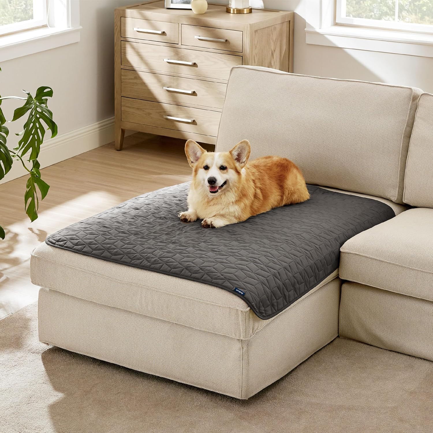 Thumbnail 6 de Bedsure Waterproof Dog Blanket 102x127 cm