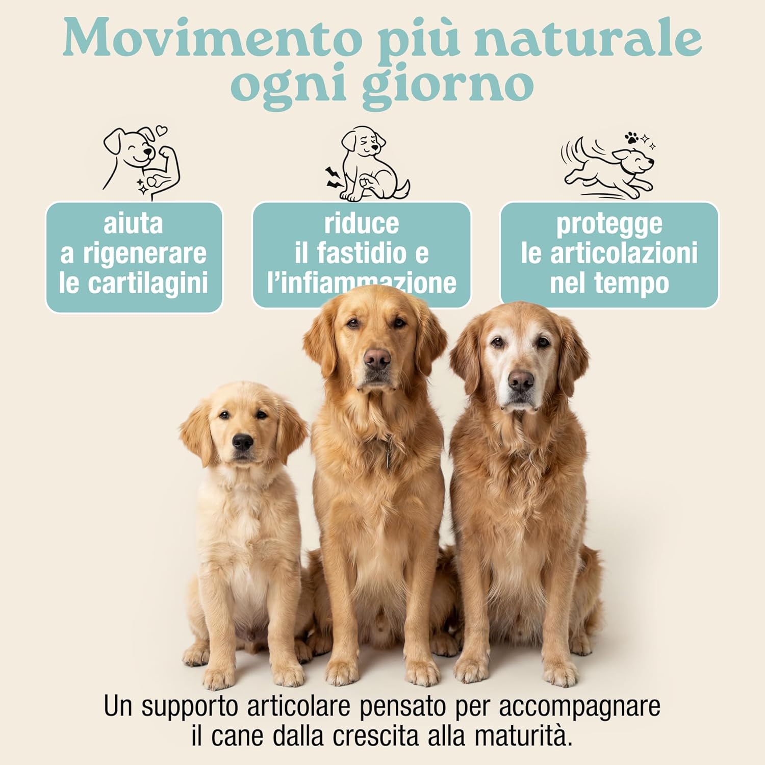 Thumbnail 1 de MyPetPrime Articolazioni Cane - Mangime Complementare 125 Compresse (Nuova Formula JointSupport)