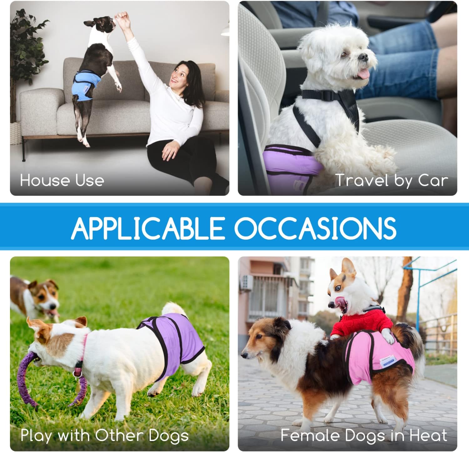 Thumbnail 5 de Nobleza 3X Couches chien M 32-37,5 cm
