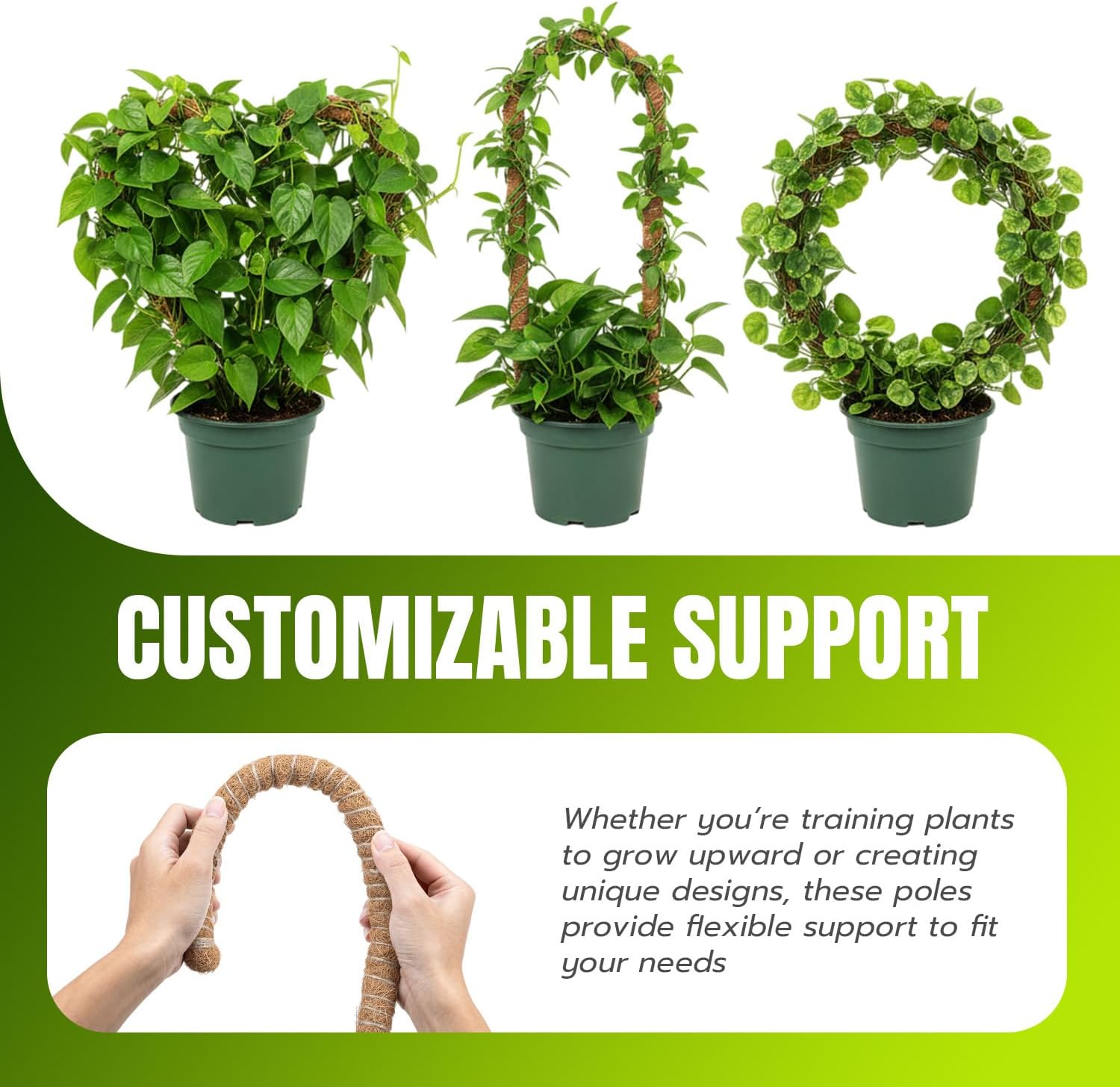 Thumbnail 5 de Mcbazel 2x120cm Tutor de plantas 120 cm