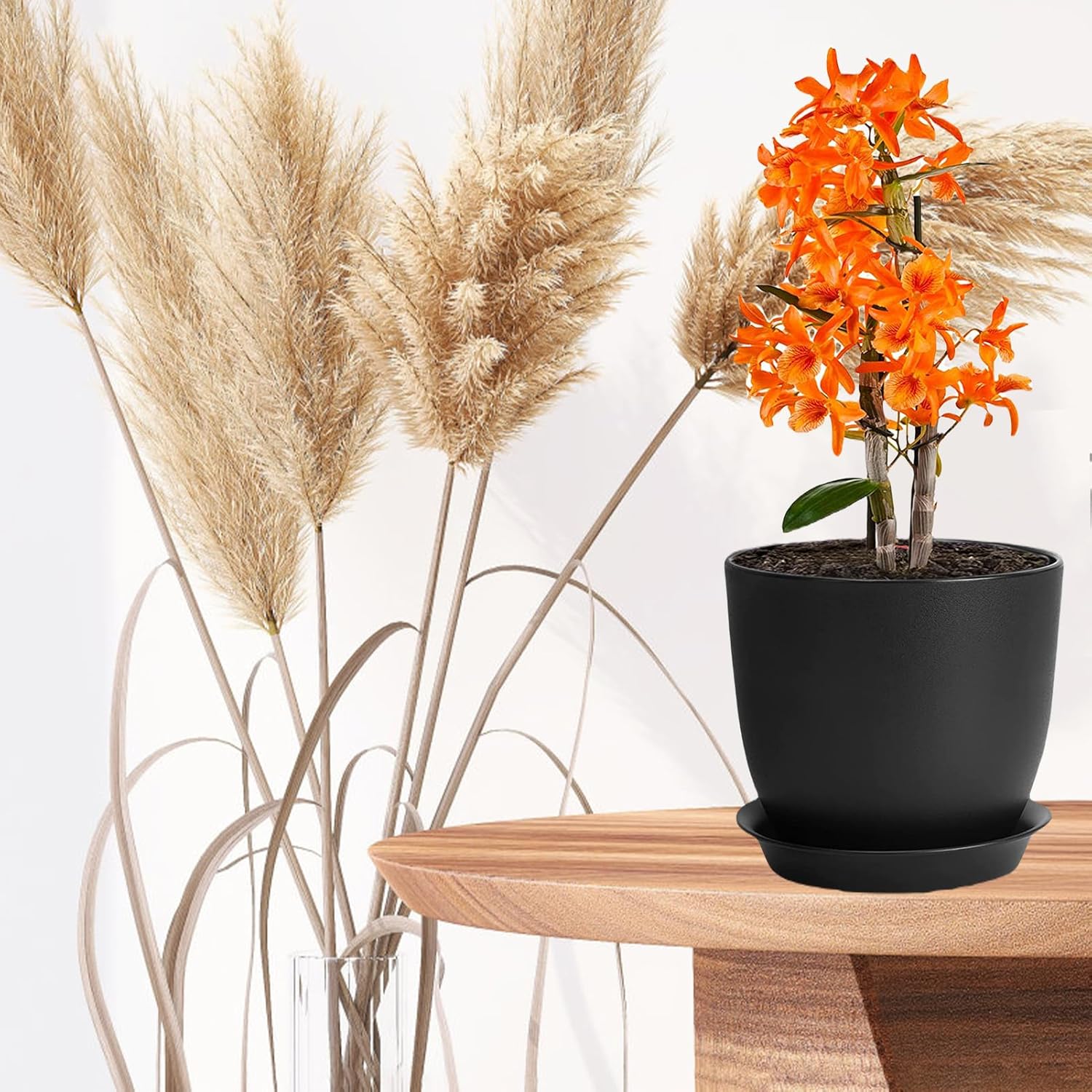 Thumbnail 5 de PROFIKLA Plastic Plant Pots Set 3 — 20cm