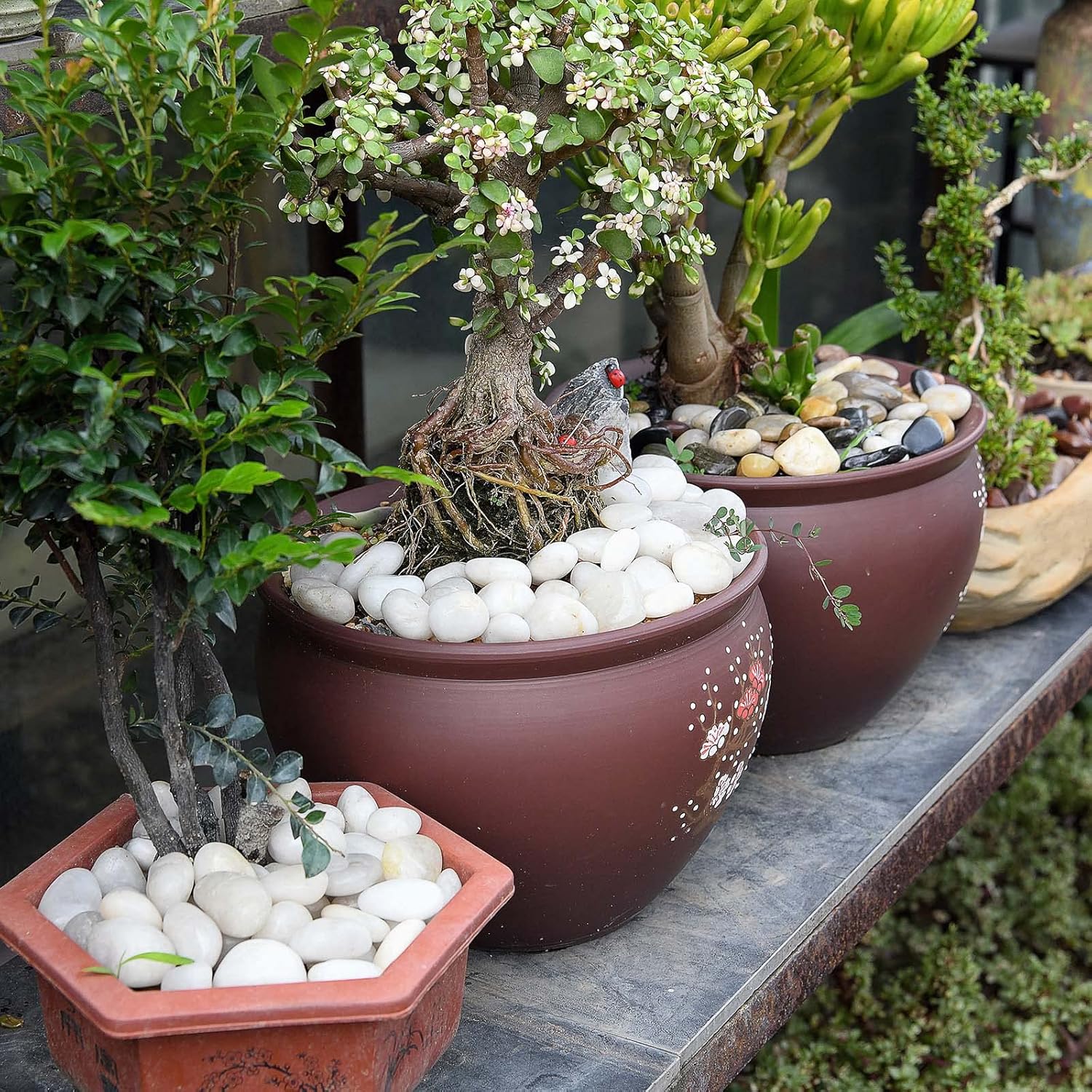 Thumbnail 3 de Hisredsun 3.96 lb White Polished Stones 3–5cm Aquarium Pebbles 🪨