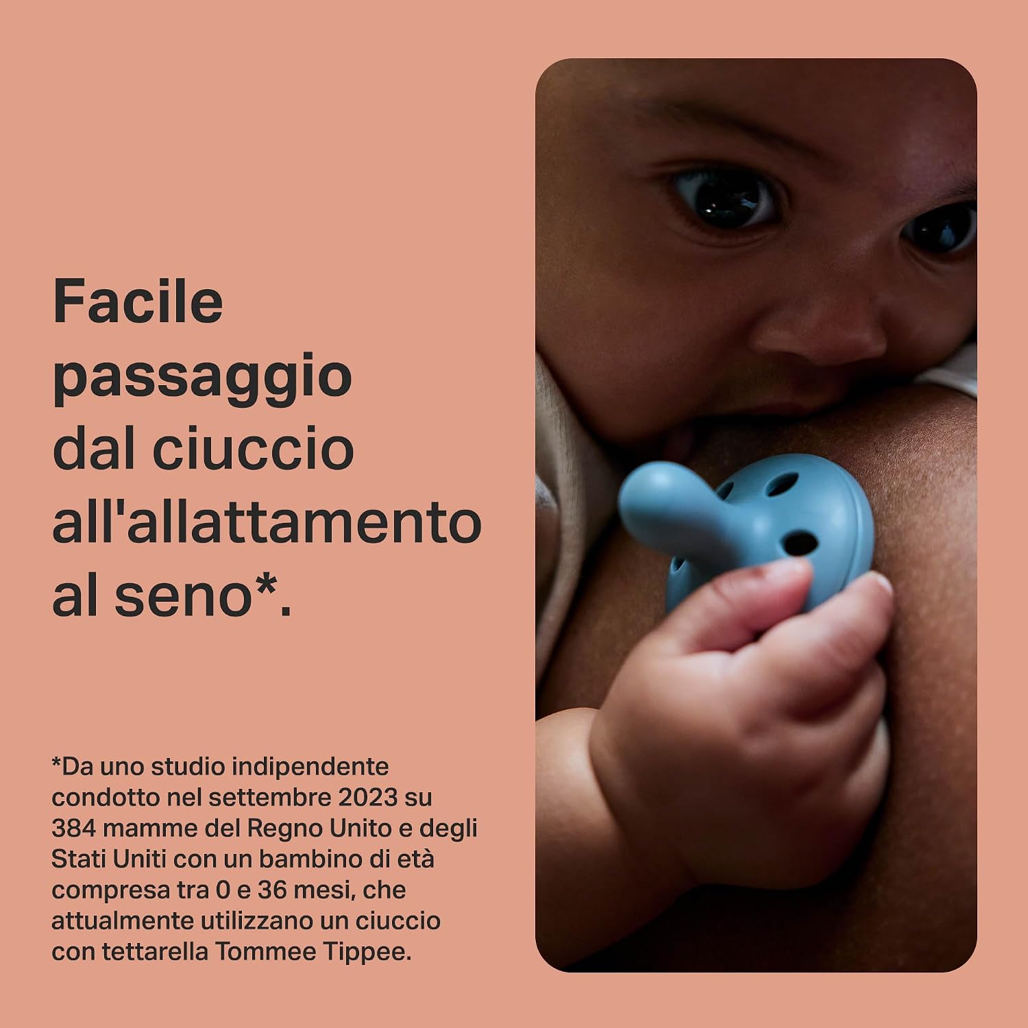 Thumbnail 2 de Tommee Tippee Ciuccio 6-18 mesi 👶