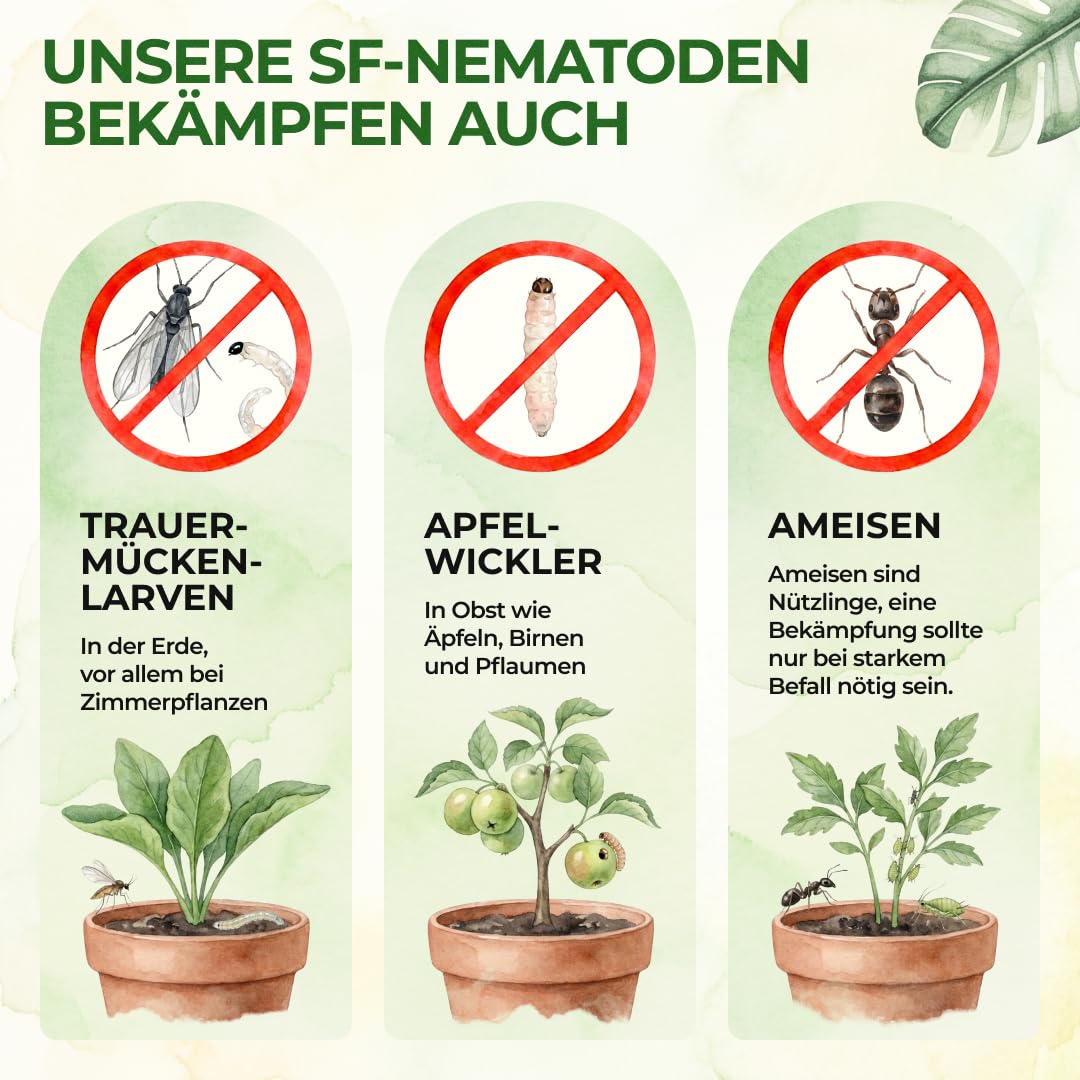 Thumbnail 6 de GREEN GUARDIA Super SF-Nematoden gegen Erdflöhe – 10 Mio. für 20m²