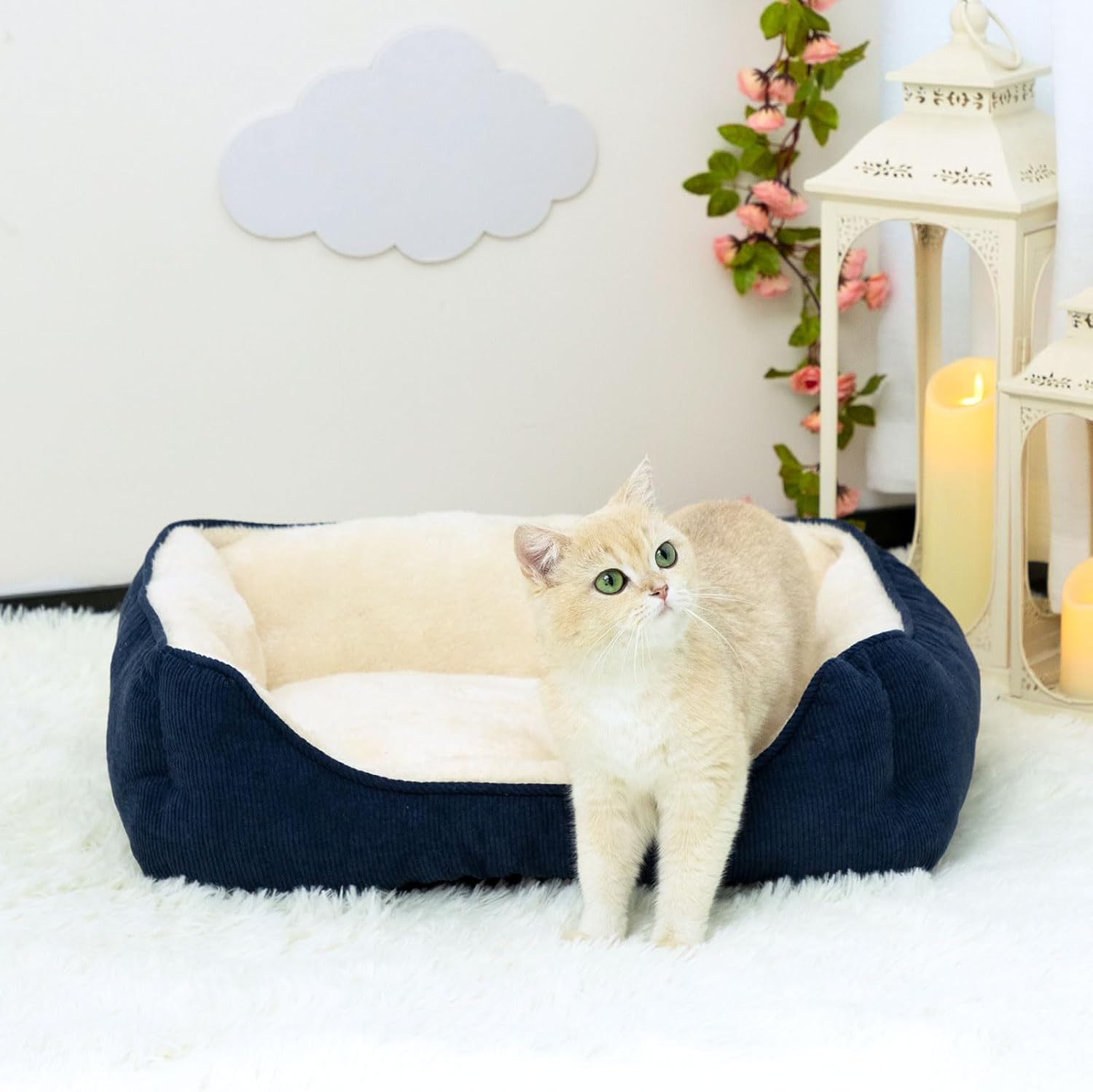 Thumbnail 2 de Hollypet Panier pour chat et petit chien Niche Maison bleu 55 x 45 x 15 cm