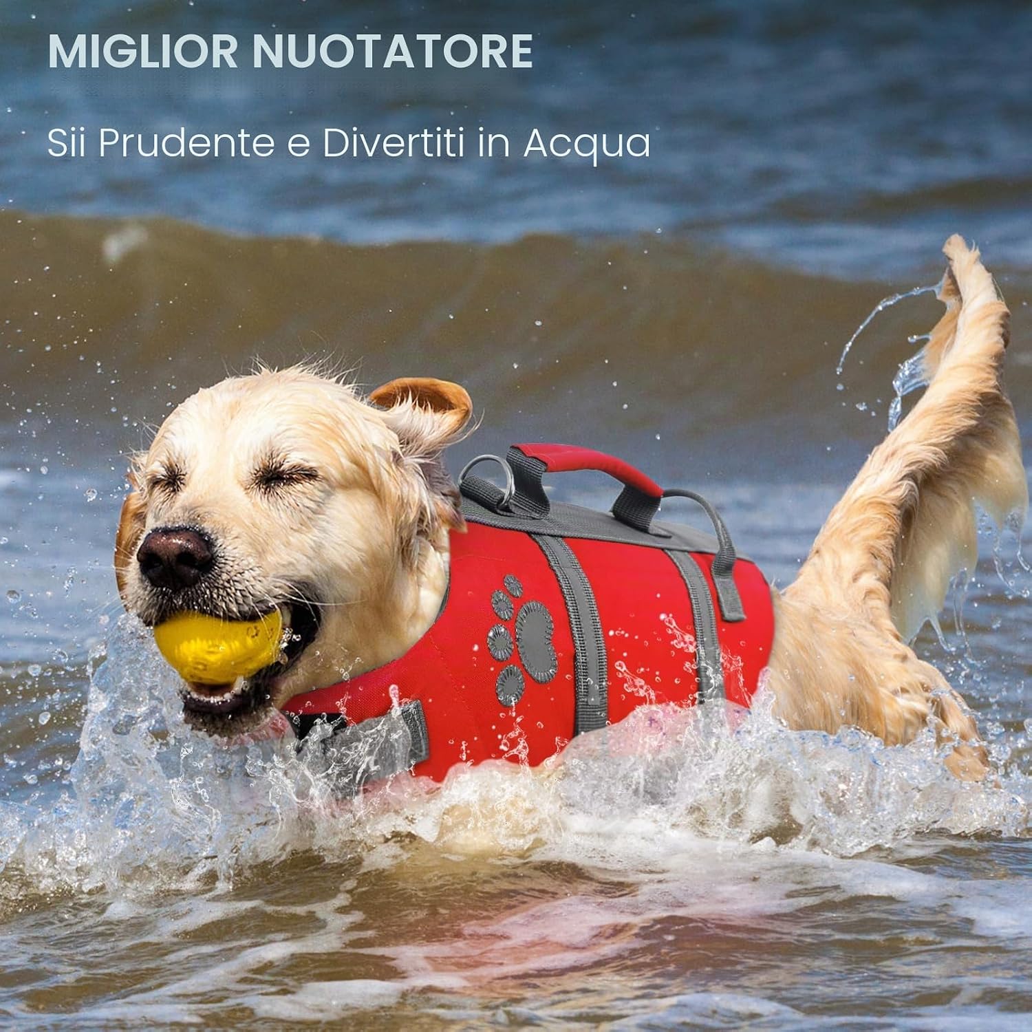 Detalle de Queenmore Salvagente Cane Taglia Grande con Maniglia – per cani grandi e attività acquatiche
