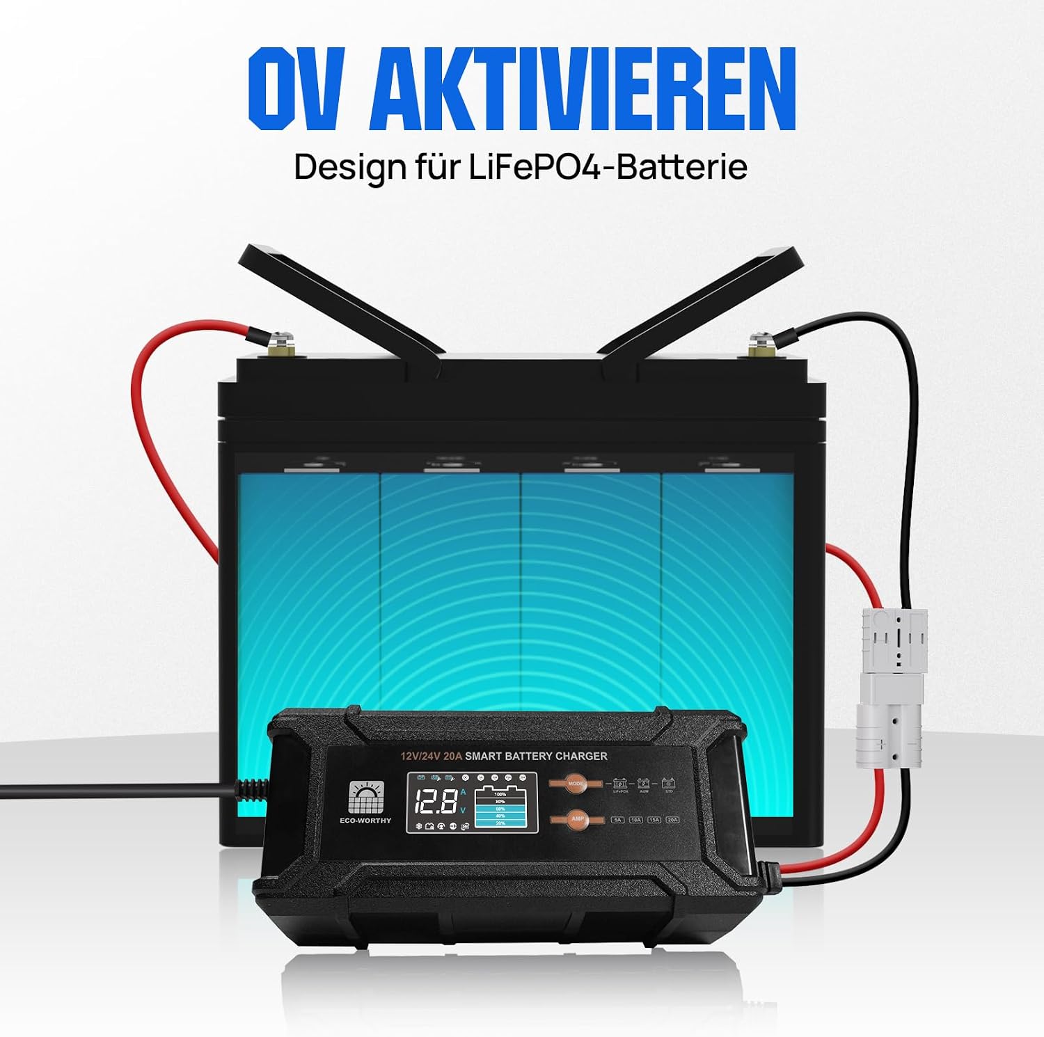 Detalle 2 de ECO-WORTHY 12V/24V 20A LiFePO4 Ladegerät ⚡