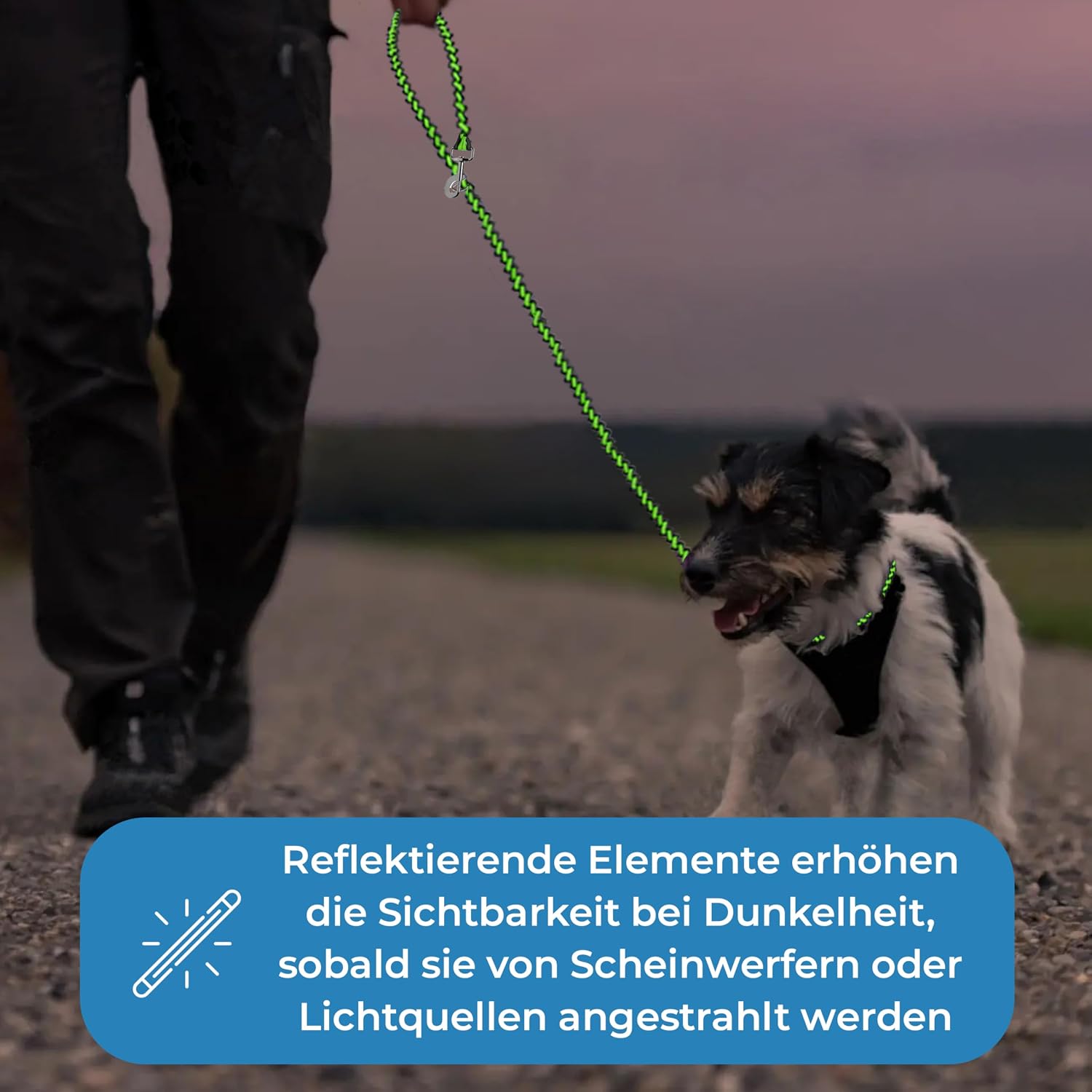 Detalle de Hundeleine reflektierend 2 m von Testnote: verstellbar, wetterfest & reißfest bis 250 kg