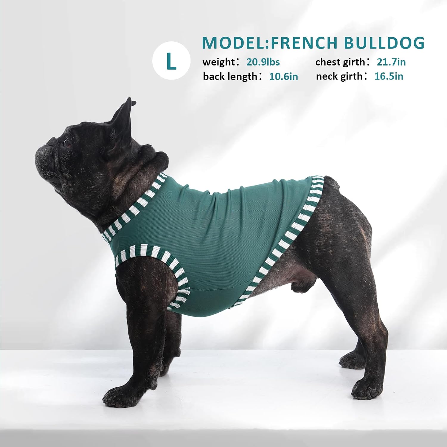 Detalle 1 de Katzinst Hundeshirt 2er Pack 4XL
