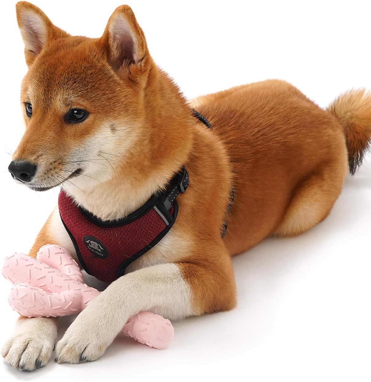 Detalle 2 de MewaJump Dog Chew Toy, Natural Rubber