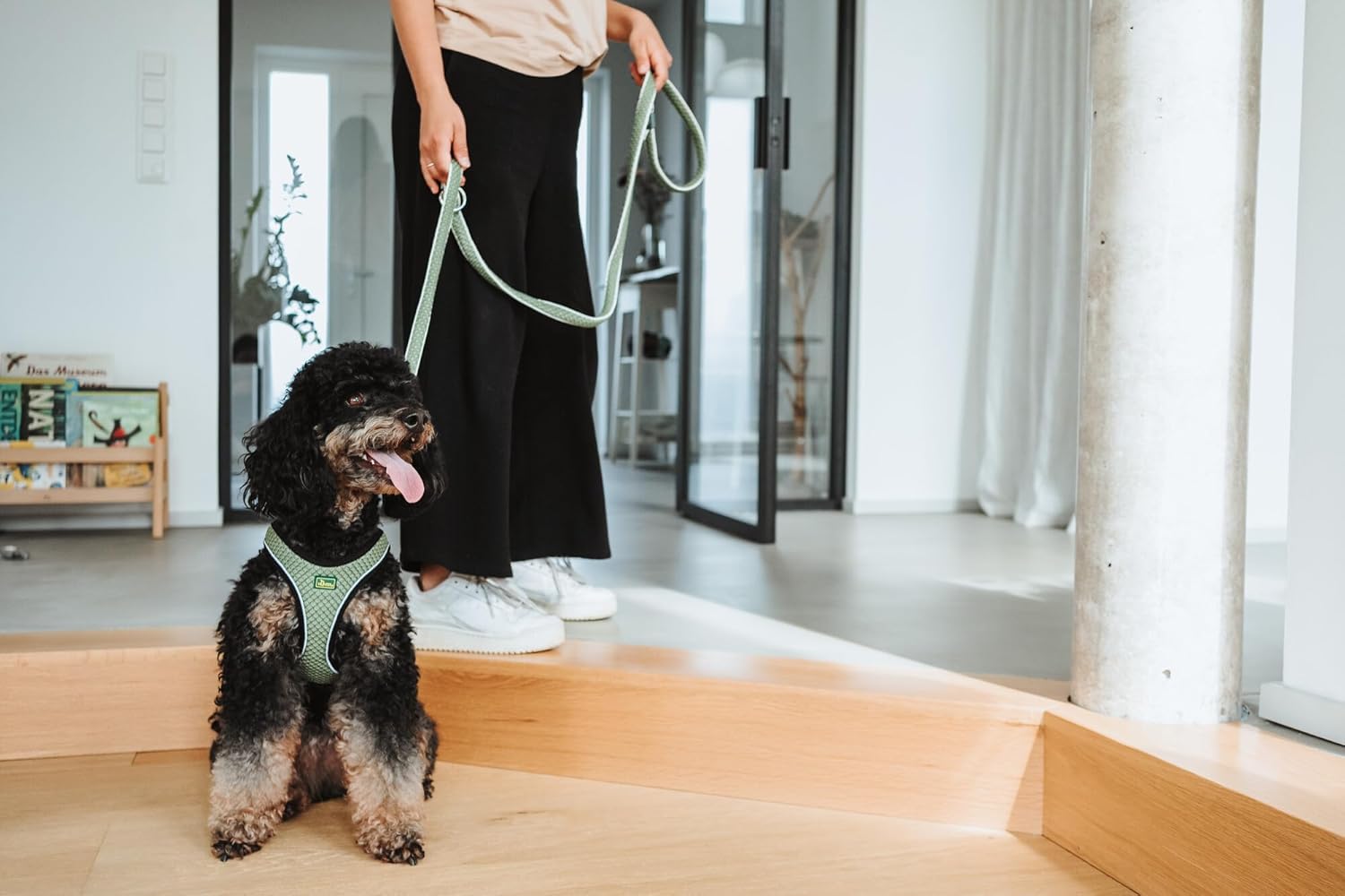 Thumbnail 6 de HUNTER Hilo Comfort Hundegeschirr S‑M lindgrün ⬛