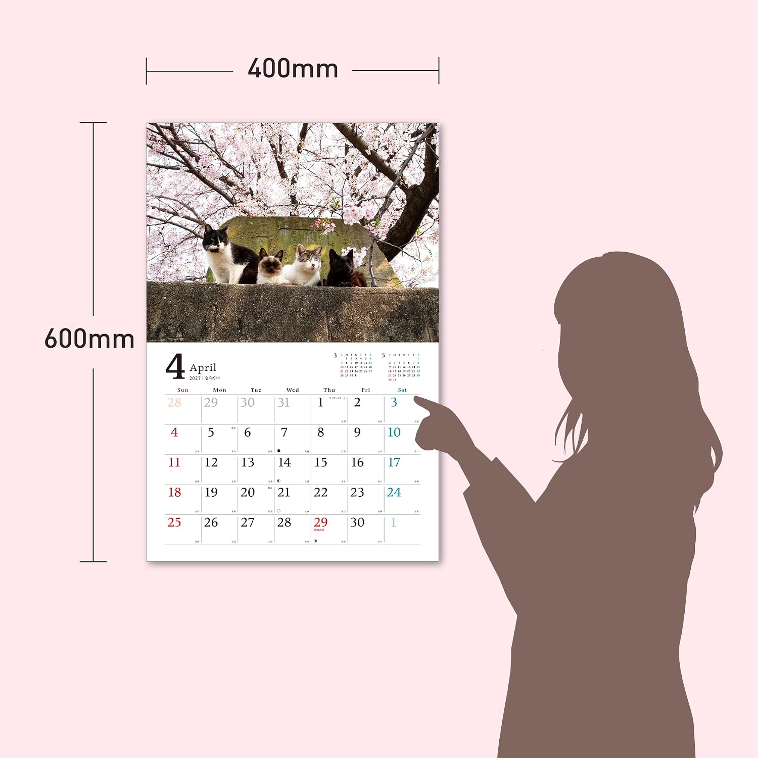 Thumbnail 1 de MdNカレンダー2027 のんびり島ねこ旅カレンダー 壁掛け・月めくり・大判