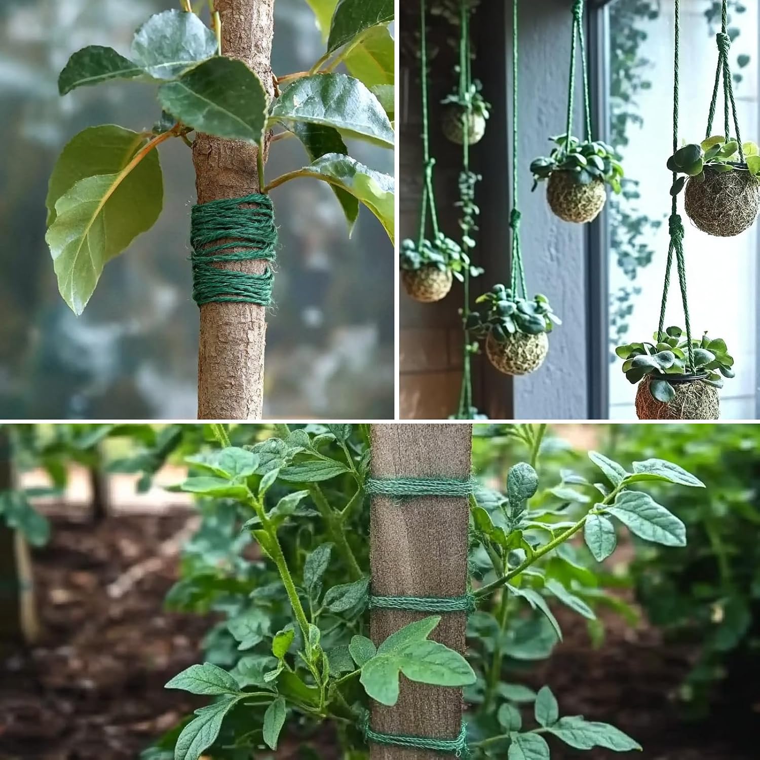 Detalle 2 de nuoshen 200m green hemp garden twine