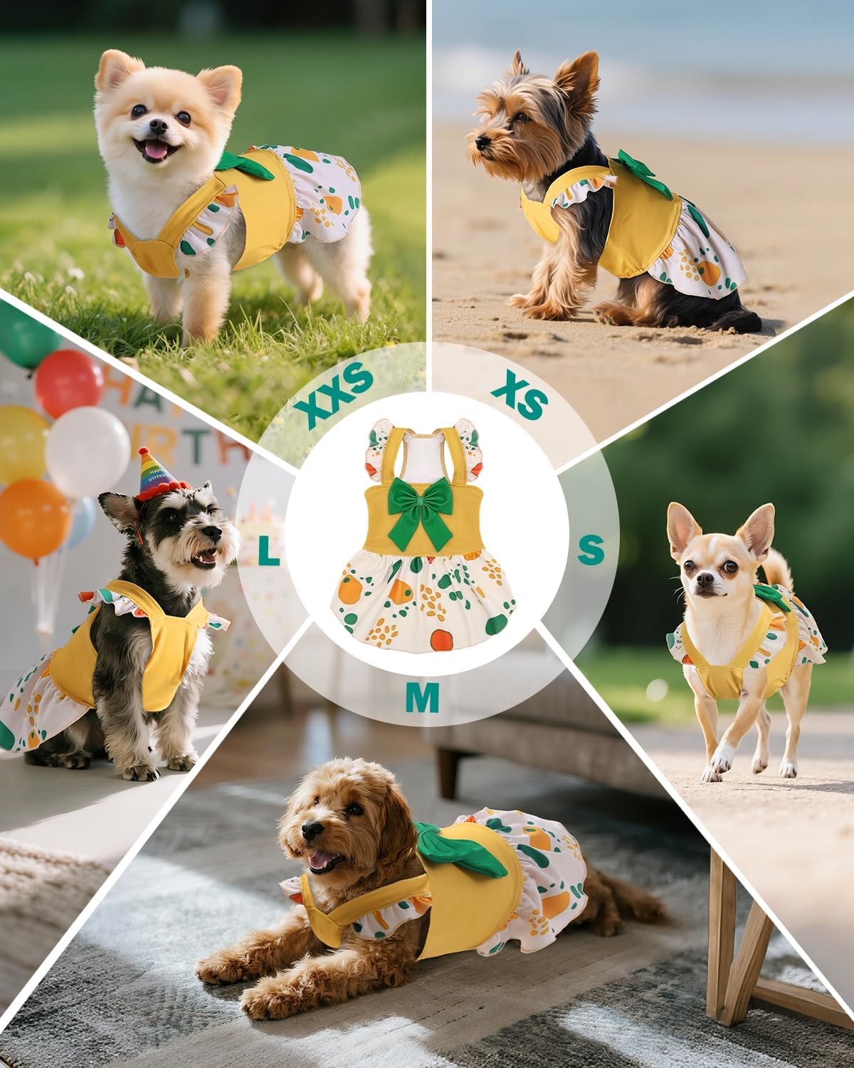 Detalle 1 de CuteBone Dog Dress ZSFX05S