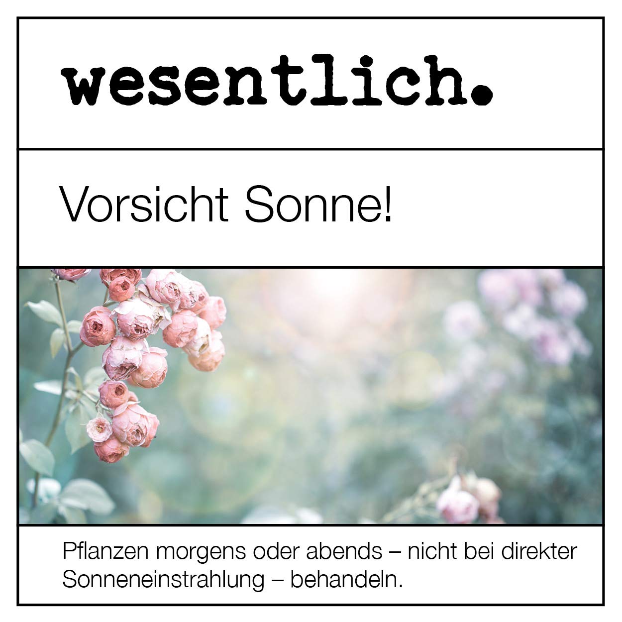 Thumbnail 4 de wesentlich Neemöl mit Emulgator 1000ml