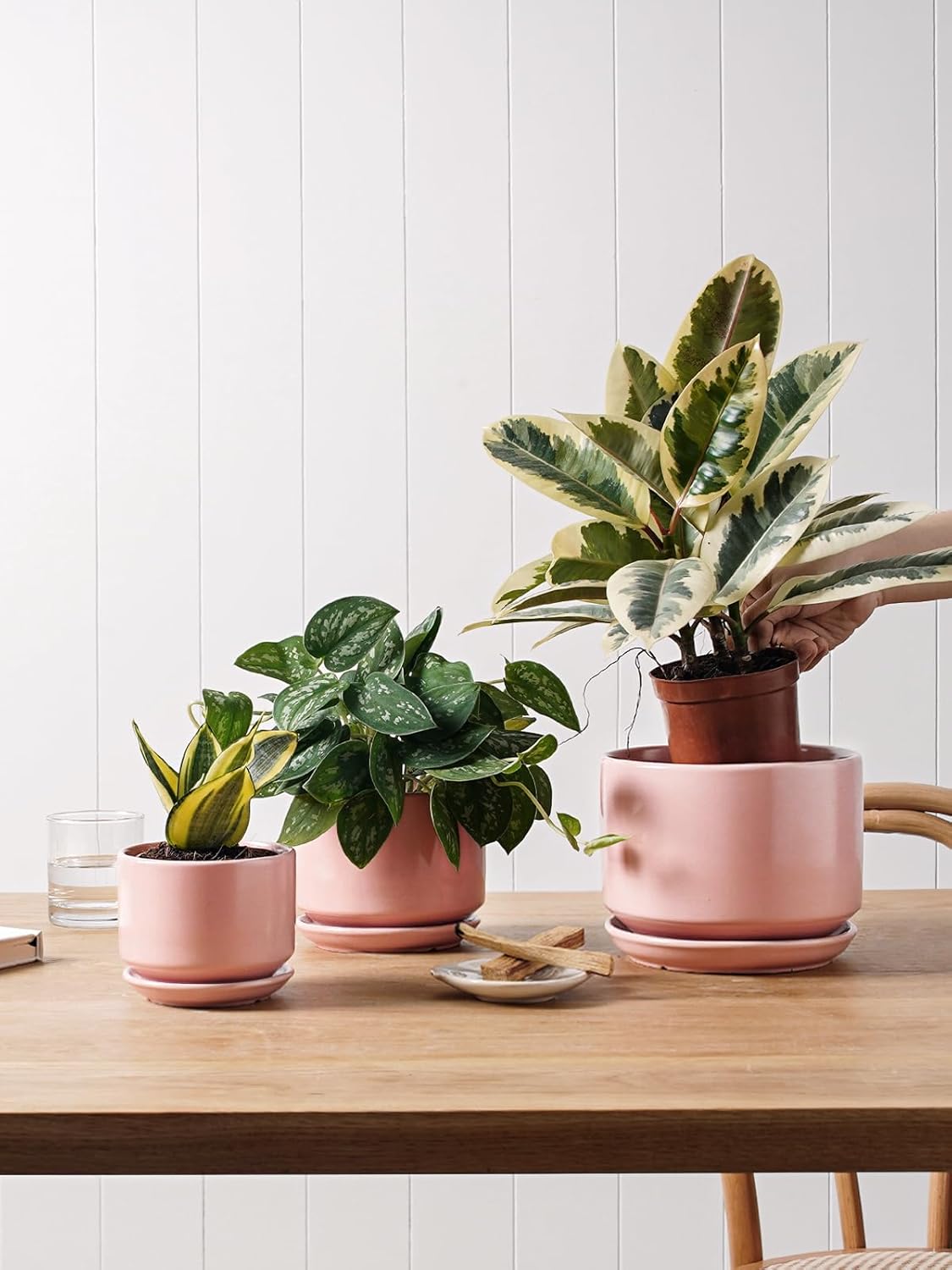 Detalle de LE TAUCI 11/13/17 cm Ceramic Plant Pots Set of 3 with Drainage Holes and Saucer