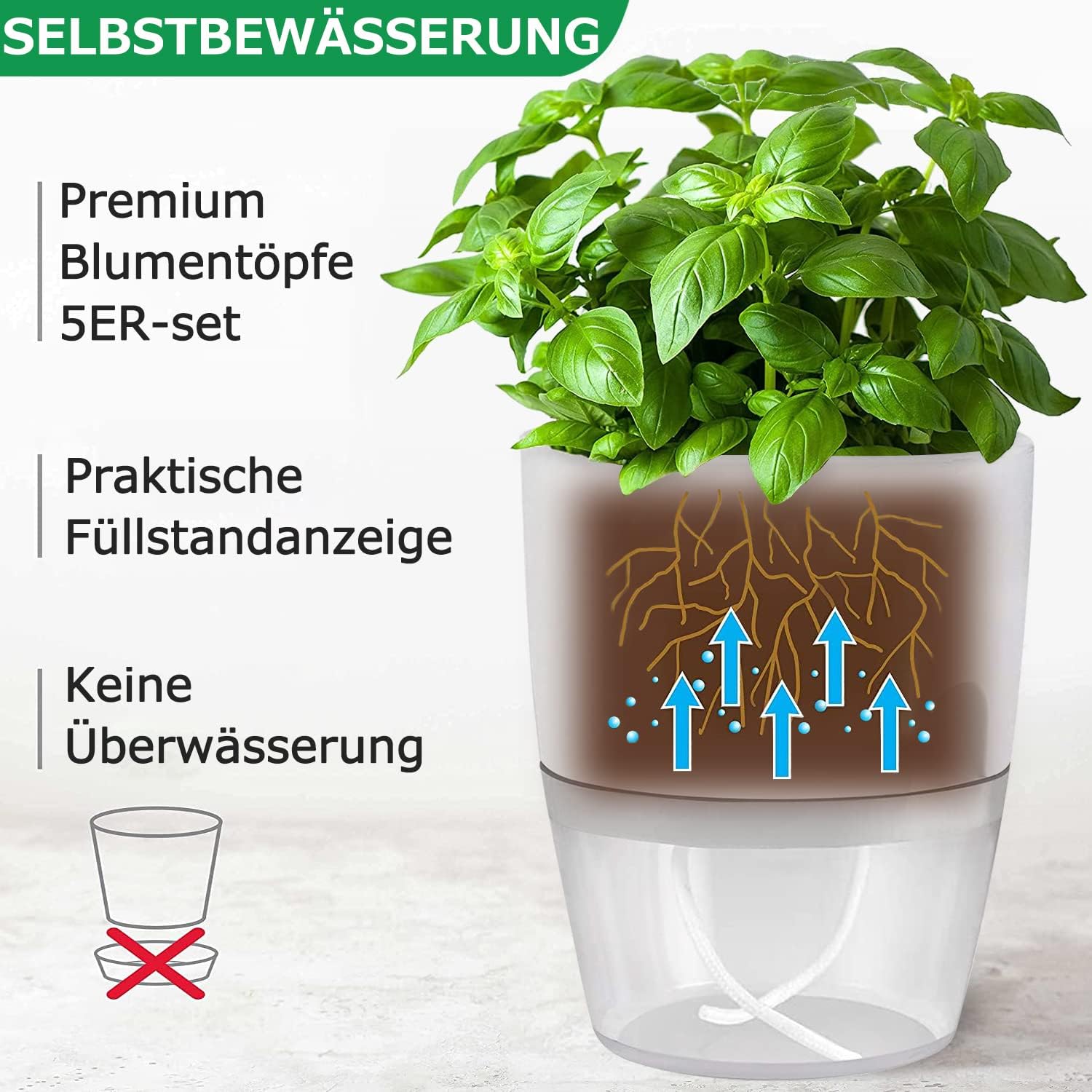 Thumbnail 2 de iDattel selbstbewässernder Blumentopf mit Bewässerungssystem – Kräutertopf Küchenfensterbank, 5er Set (weiß)