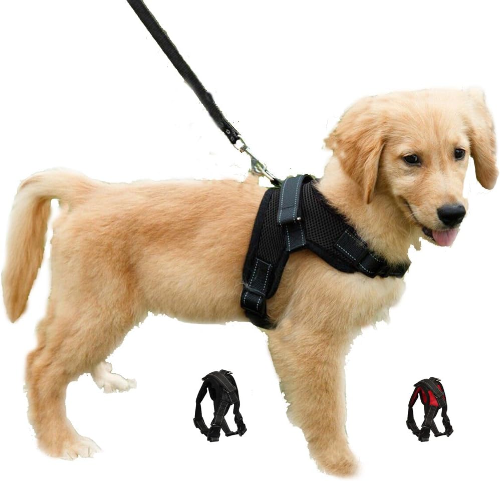 Detalle de Adjustable No Pull Puppy Vest Harness XS
