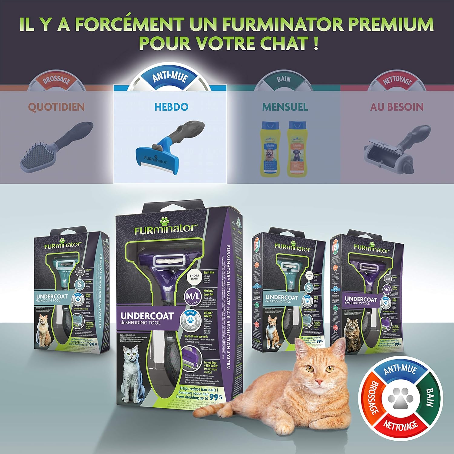Detalle de FURminator Outil Undercoat deShedding Chat L Poils courts – Efficace pour chats de grande taille