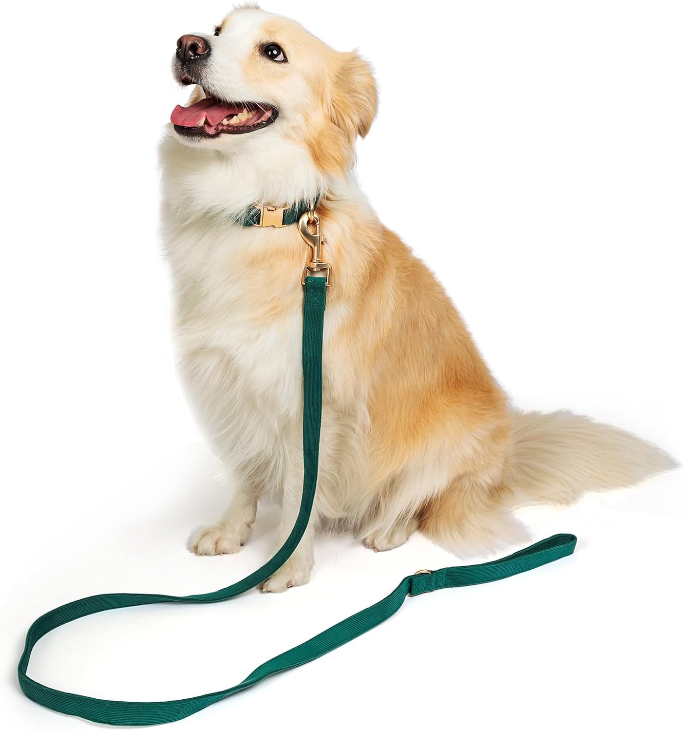 Thumbnail 1 de YUDOTE Dog Collar and Lead Set (Small) in soft corduroy with matching leash, Green