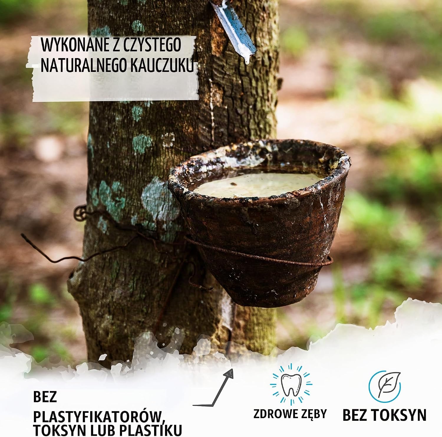 Detalle 2 de Rudelkönig piłka dla psa z naturalnego kauczuku, 6,5 cm, z torbą